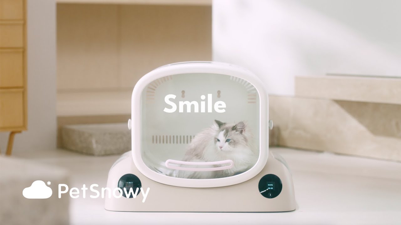 Cat Dryer Box: A Comfortable Solution for Fluffy Cats