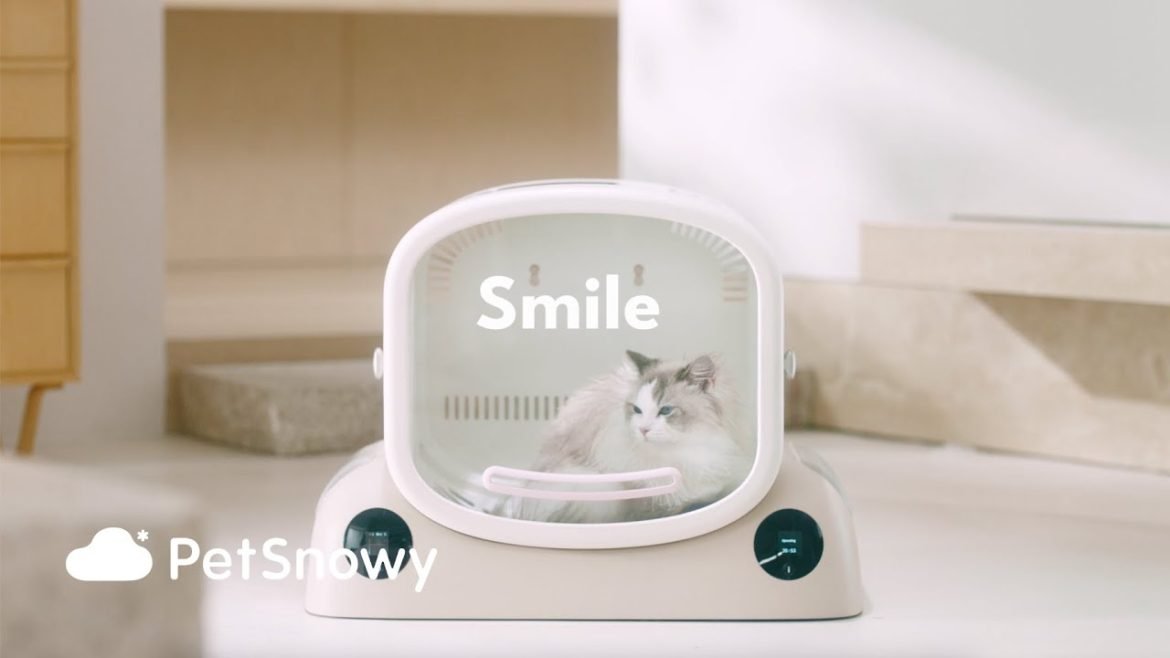 Cat-Dryer-Box-A-Comfortable-Solution-for-Fluffy-Cats